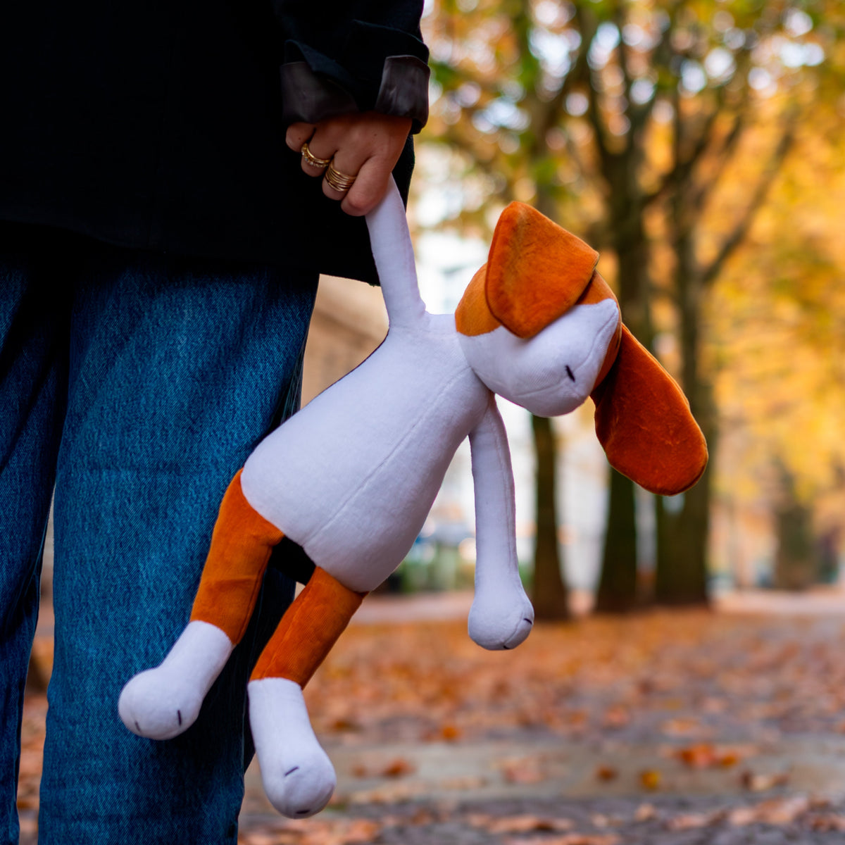 BARRY THE BEAGLE - L