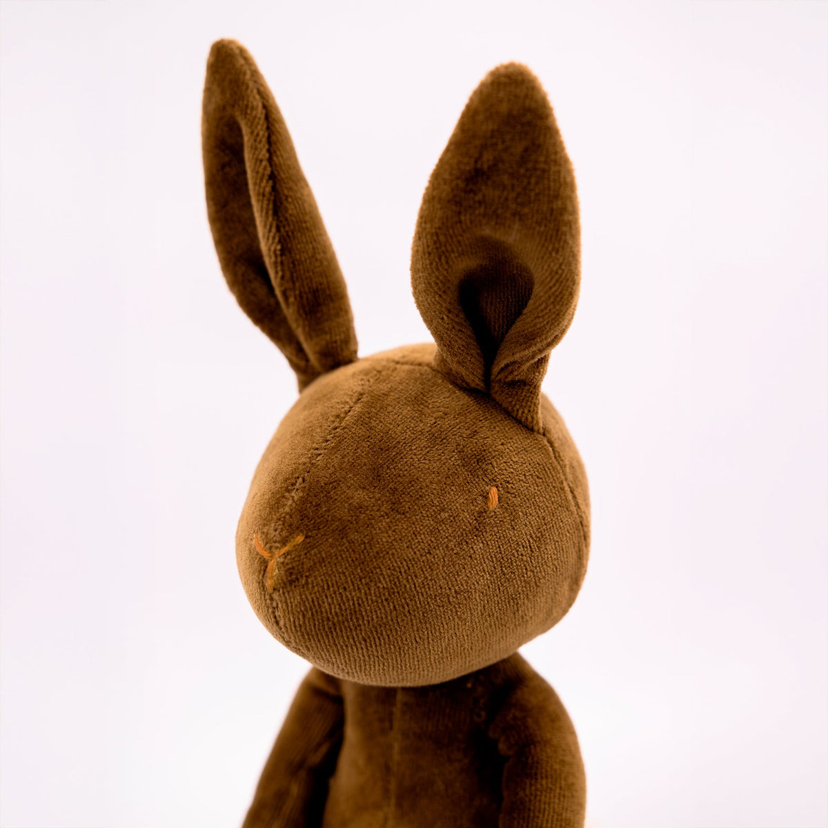 DANIEL THE RABBIT - M